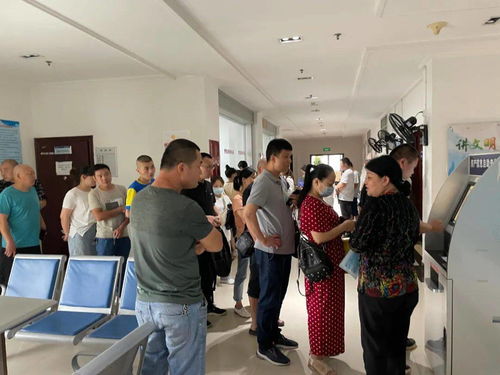 我为群众办实事丨市住建局产权处 房产档案查询业务扎堆，增设窗口贴心服务解民忧